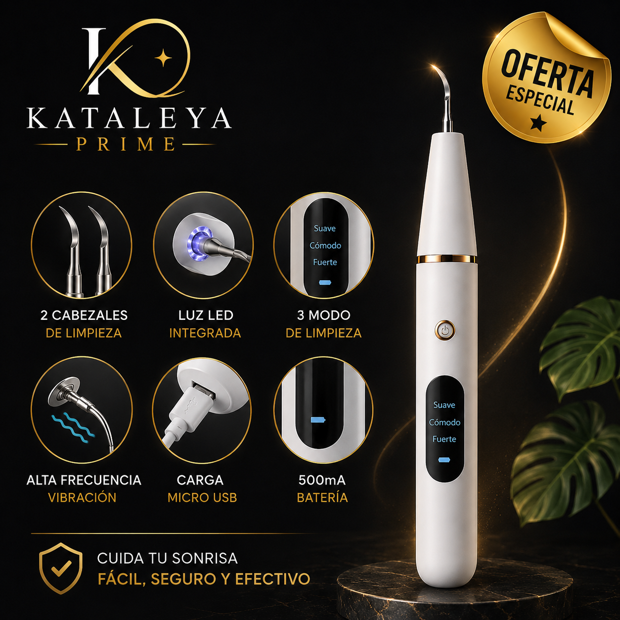 Limpiador de Placa Dental