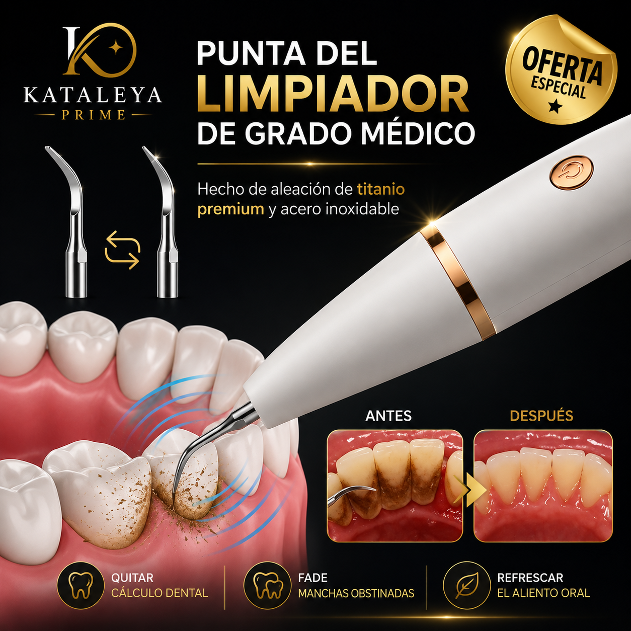 Limpiador de Placa Dental